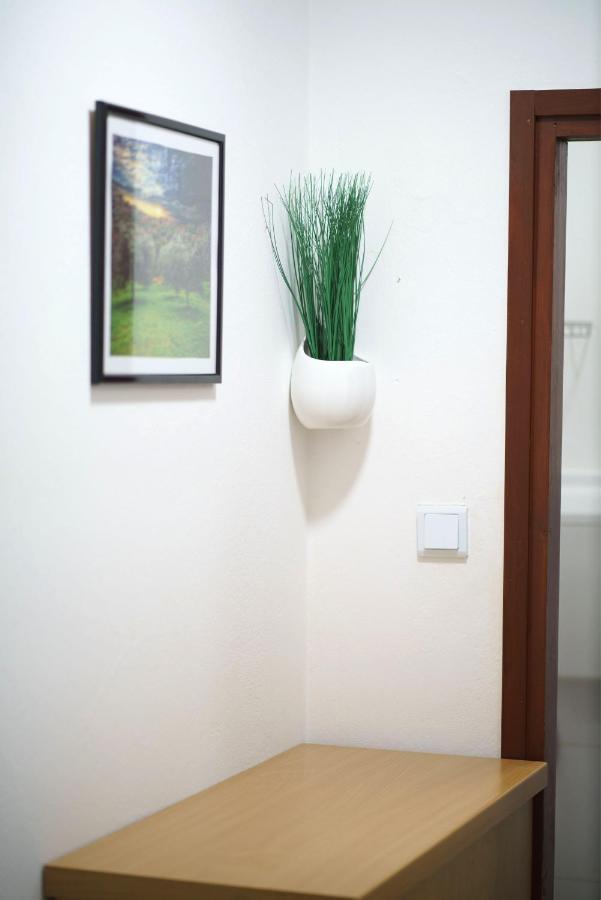 Apartment Bojic โวดีเซ ภายนอก รูปภาพ